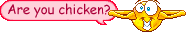 :chicken